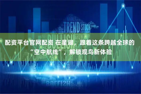 配资平台官网配资 在星湖，跟着这条跨越全球的 “空中航线”，解锁观鸟新体验