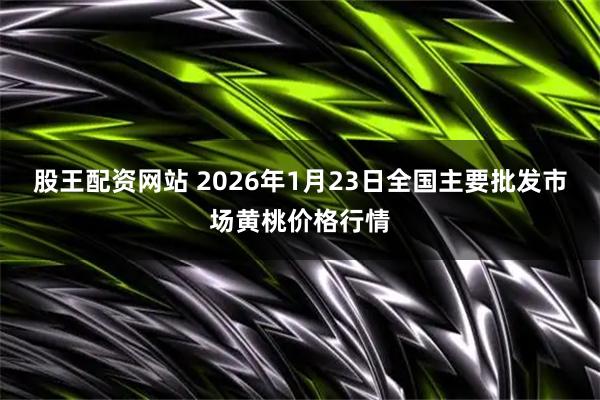 股王配资网站 2026年1月23日全国主要批发市场黄桃价格行情