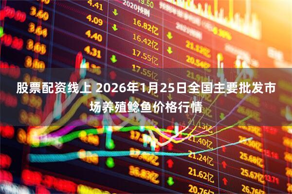 股票配资线上 2026年1月25日全国主要批发市场养殖鲶鱼价格行情