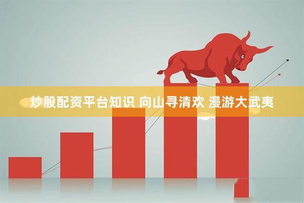 炒股配资平台知识 向山寻清欢 漫游大武夷